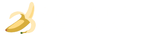 Agence Banana Design, Création de site Wordpress à Bordeaux